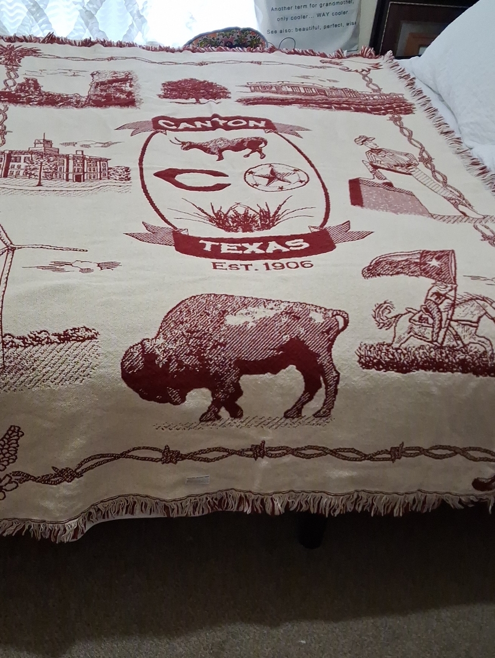 Canyon Texas Buffalo Woven Throw Blanket - Cream & Red